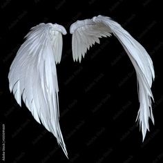 two white wings on a black background