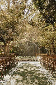 rows of wooden chairs are lined up on the grass near trees and snow covered ground