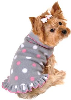 a small dog wearing a gray and pink polka dot sweater