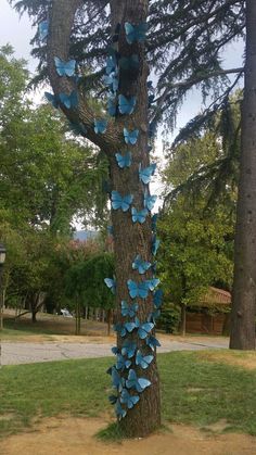 a tree with blue butterflies growing on it