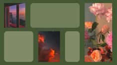 four different pictures with pink flowers and clouds in the sky at sunset or sunrise, on green background