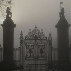 an ornate gate with statues on top in the fog