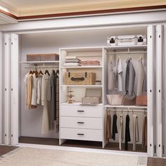 an open closet with clothes hanging on the shelves and drawers next to it, in front of a white rug