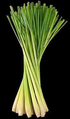 a bunch of green onions on a black background