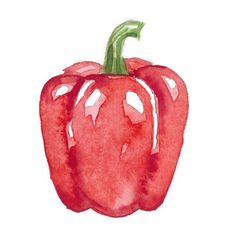 a watercolor drawing of a red pepper