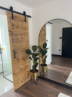 two potted plants sit in front of a mirror on the floor next to a wooden door