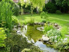 a small pond surrounded by lush green grass