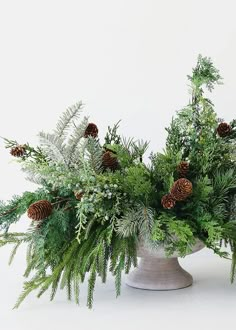 a vase filled with pine cones and greenery