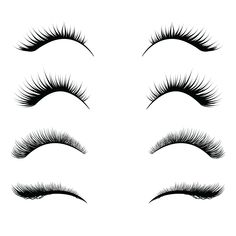 Lashes Clipart, Eye Lashes Png, Lashes Painting, Lash Drawing, How To Draw Lashes, Drawn Eyelashes, Lashes Illustration, Drawing Lashes, Eyelashes Illustration