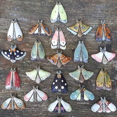 a group of moths sitting on top of a wooden table