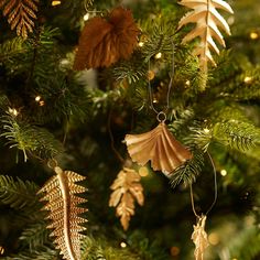 ornaments hanging from the branches of a christmas tree