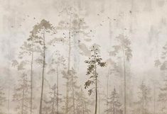 an image of trees in the foggy forest with birds flying above them on a white background