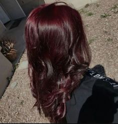 Brown Hair Dyed Red, Pelo Color Vino, Wine Hair Color, Cherry Red Hair, Wine Red Hair, Red Hair Inspo, Wine Hair, Cherry Brown, Cherry Hair