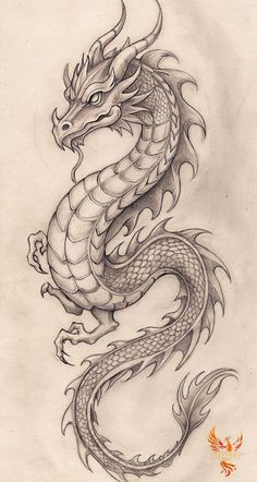 a drawing of a dragon on paper