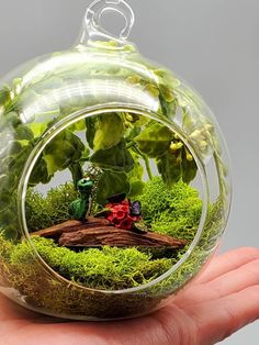 a hand holding a glass ornament filled with plants