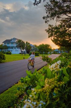 a woman riding a bike down a street next to green bushes and flowers in the foreground