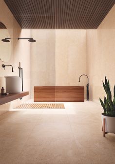 a bathroom with a potted plant next to the bathtub and sink in it