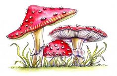 two red mushrooms are sitting in the grass