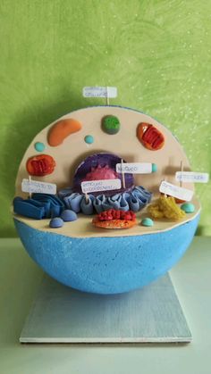 a cake made to look like a bowl with different items on it and labels in the middle