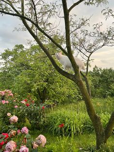 a white cat sitting on top of a tree next to lush green grass and flowers