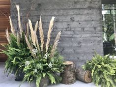 three potted plants sitting next to each other in front of a wall with wood logs