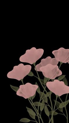 some pink flowers on a black background