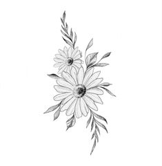 a black and white drawing of three daisies