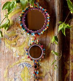 two mirrors hanging on the side of a wooden door next to a plant with green leaves