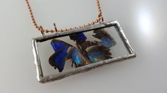 a blue and black butterfly in a square glass pendant