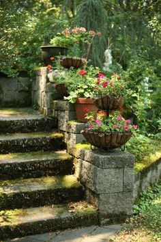 several potted plants sitting on top of stone steps in the woods with flowers growing out of them