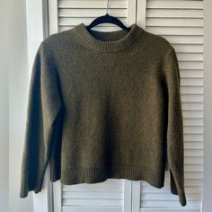 Sage Green Organic Basics 100% Merino Wool Sweater Like New Green Wool Sweater, Organic Basics, Sweater Oversize, Green Wool, Merino Wool Sweater, Fall Style, Wool Sweater, Colorful Sweaters, Sage Green