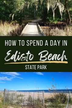 the beach with text overlaying how to spend a day in edistoo beach state park