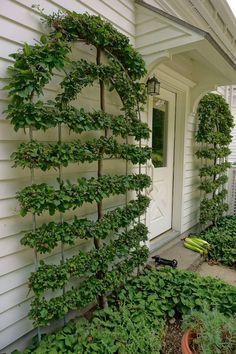 a house with many plants growing on the side of it