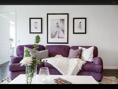 a living room with purple couches and pictures on the wall above them, along with a vase filled with flowers