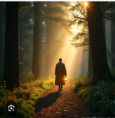 a man walking down a path in the woods at sundown with light coming through