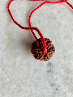 Rare and precious six mukhi (faces) pendant on adjustable red thread. Sourced from Nepal, original Himalayan Rudraksha. Learning, wisdom and knowledge are believed to be imparted to the wearer of this Rudraksha along with the Power of Kartikeya, son of Shiva and Shakti. He was a warrior who identified and defeated anyone betraying their position or misusing others, he rectified peace on earth and was awarded the highest status. This Rudraksha helps one see clearly and understand the intention of Adjustable Red Mala As A Gift, Adjustable Red Mala For Gift, Adjustable Red Mala As Gift, Red Necklace With Latkans For Puja, Red Necklaces With Latkans For Puja, Red Spiritual Jewelry For Navratri, Handmade Red Mala For Puja, Red Handmade Mala For Puja, Adjustable Red Mala For Festivals