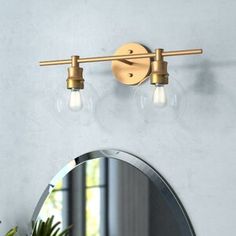 a bathroom light with two bulbs on the wall next to a mirror and potted plant