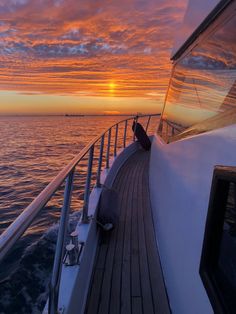 the deck of a boat at sunset with a cat sitting on it's back