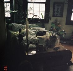 a cat sleeping on top of a bed in a room with lots of windows and plants