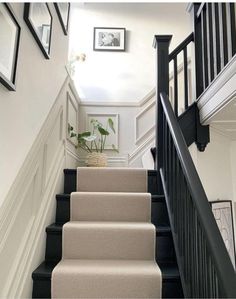 the stairs are lined with black and white carpet, along with pictures on the wall