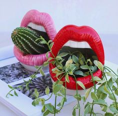 two fake lips with plants in them on a table next to an open photo album