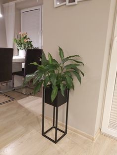 a houseplant in a black planter on a stand next to a dining room table