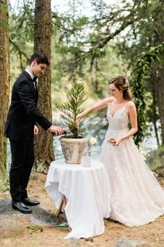 a bride and groom standing next to each other in front of a table with a potted plant on it