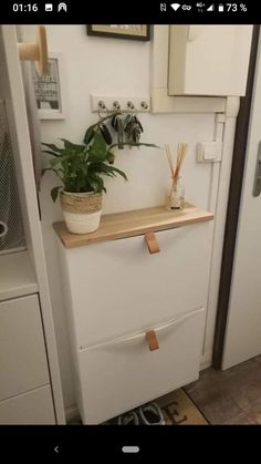 a plant is sitting on top of a filing cabinet