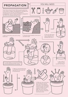 the instructions for how to wash your hands