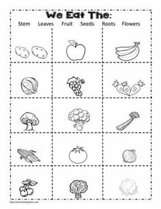 we eat the worksheet for kids to learn how to make their own fruits and vegetables