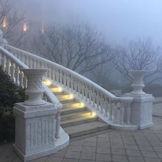 a white railing with lights on it next to some bushes and trees in the fog