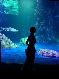 a person standing in front of an aquarium