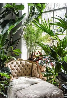 a living room filled with lots of green plants