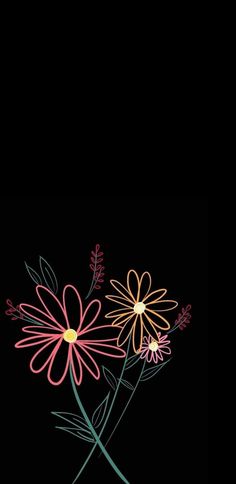 three colorful flowers on a black background